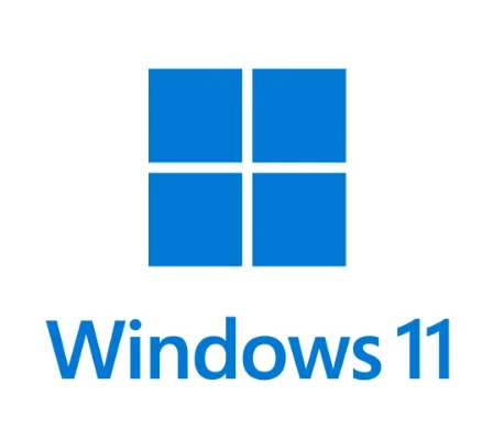 Windows 11